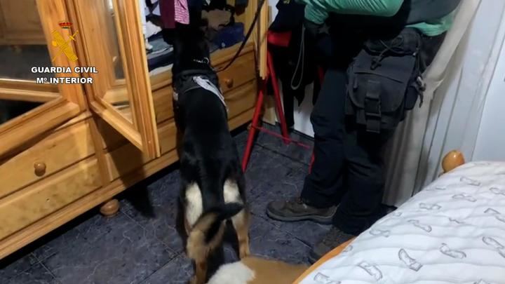 La Guardia Civil de Guadalajara desmantela una organización criminal dedicada al tráfico ilícito de vehículos a nivel europeo