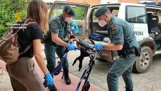La Guardia Civil entrega material de rehabilitaci&#243;n y escolar en diversos n&#250;cleos rurales de Guadalajara