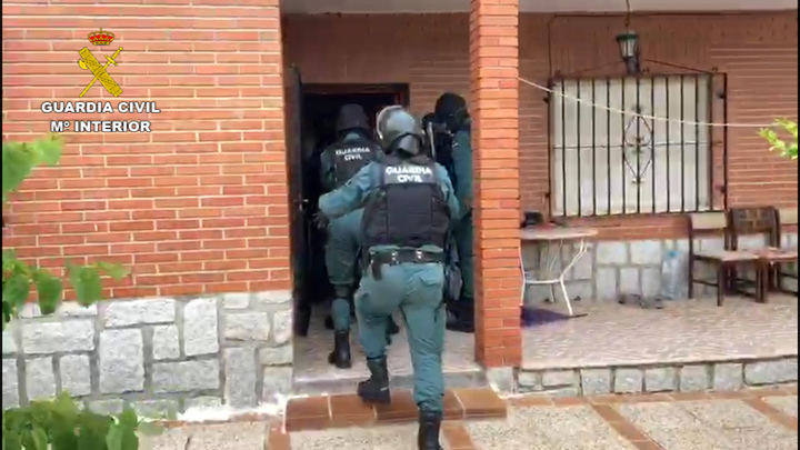 15 detenidos y 1.667 plantas de marihuana incautadas en tres actuaciones en Toledo