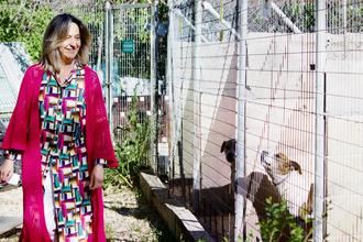 La Camada seguirá gestionando el albergue municipal de animales de Guadalajara que ha sido remozado con obras de mejora