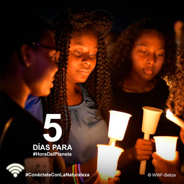 Imagen promocional de la campaña de WWF, la ONG que promueve 'La hora del planeta'