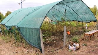 Hasta el 20 de enero se pueden presentar las solicitudes para optar a los huertos urbanos de Yebes y Valdeluz