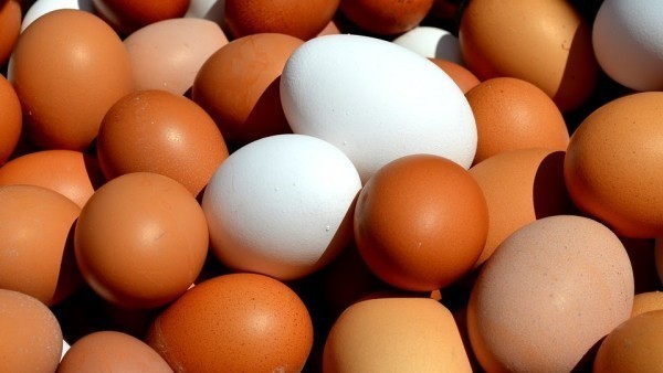 Requisan 19 docenas de huevos que iban a ser arrojados en una novatada en la Univerisdad Complutense de Madrid