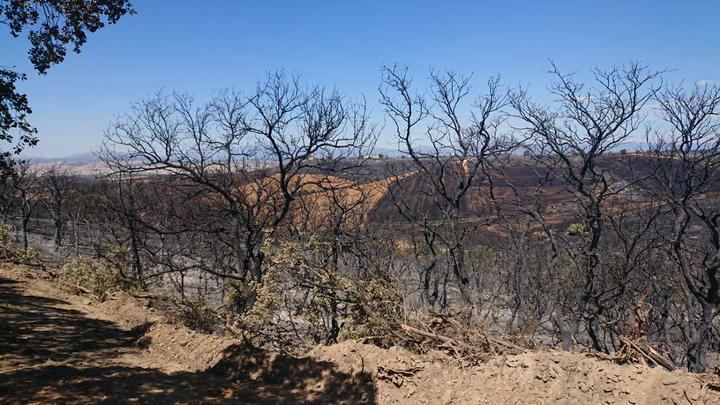 Podemos El Casar y Mesones alaba la actitud de los vecinos durante el incendio y agradece a todos los medios su participación
