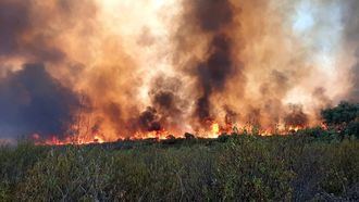 La provincia de Guadalajara en LLAMAS : Activos tres incendios forestales en Budia, Au&#241;&#243;n y Driebes