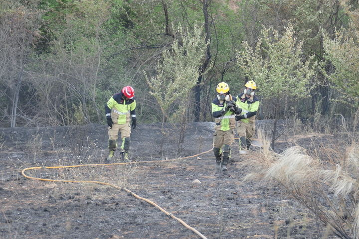 Hay un 90% de posibilidades de que el incendio de Valdepeñas de la Sierra que ha arrasado 3.200 hectáreas haya sido...INTENCIONADO