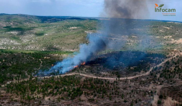 Declarado un incendio en un terreno forestal de pinos en Mazarete