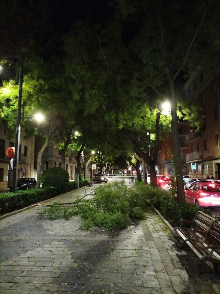 La borrasca Ciaran sigue manteniendo este viernes a Guadalajara en ALERTA por fuertes rachas de viento con las mínimas en 6ºC