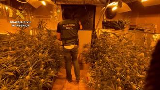 La Guardia Civil desmantela una plantación de marihuana indoor en El Cubillo de Uceda