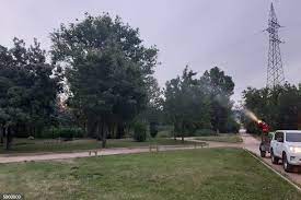 La campaña de fumigación contra insectos que acaba de empezar en Azuqueca durará hasta el 30 de octubre