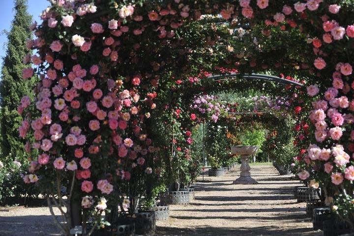 El Real Jardín Botánico de la Universidad de Alcalá amplía su horario en fines de semana y festivos