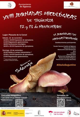 Vuelven las Jornadas Micológicas a Sigüenza, de la mano de su Plan de Sostenibilidad Turística