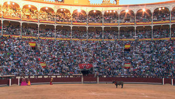La Feria de San Isidro 2024 tendrá 21 corridas de toros del 10 de mayo al 8 de junio (VER TODAS LAS CORRIDAS)