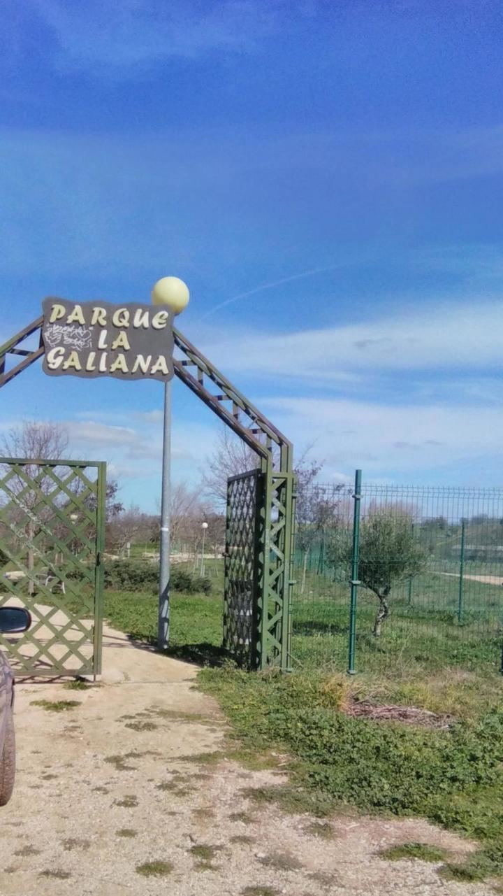 Un informe técnico da la razón al PP de Pioz y alerta del riesgo de mantener abierto el parque de La Galiana, ante la “dejadez e incompetencia” del gobierno