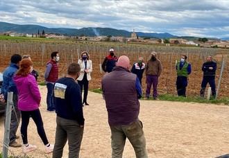 El PP-CLM solicita al Gobierno de Page ayudas transitorias para el sector del vino, al ser excluido de los fondos europeos