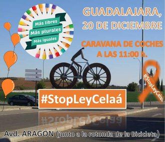 Convocadas Concentraciones este domingo en Guadalajara y TODA España CONTRA la aprobación de la ‘Ley Celaá’