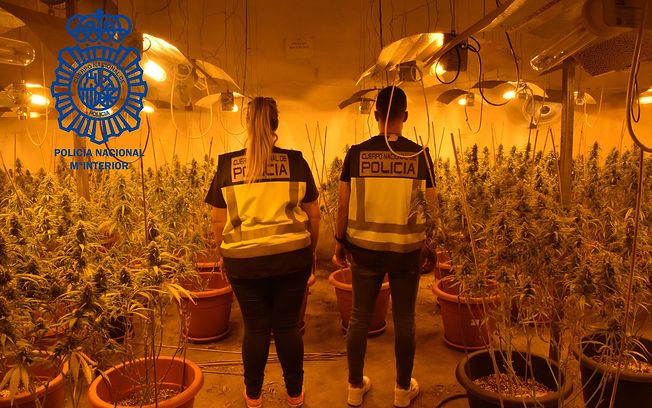 Tres detenidos tras la desmantelación de una plantación de marihuana en un polígono de Cabanillas