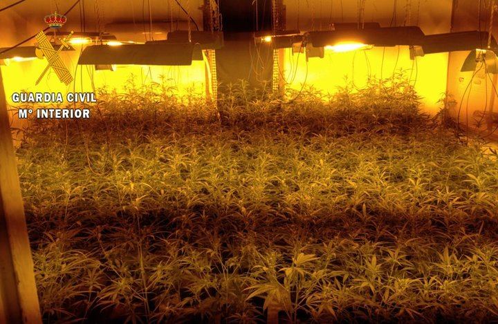 La Guardia Civil ha detenido a tres personas por delitos de usurpación de vivienda, robo y cultivo de estupefacientes en El Casar de Ecalona