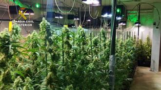 La Policía Nacional desarticula en Guadalajara y Madrid una organización criminal dedicada al cultivo indoor de marihuana en fincas ocupadas 