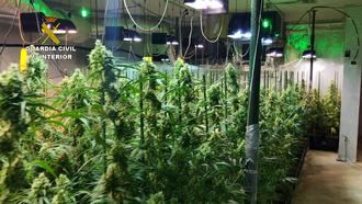 La Policía Nacional desarticula en Guadalajara y Madrid una organización criminal dedicada al cultivo indoor de marihuana en fincas ocupadas