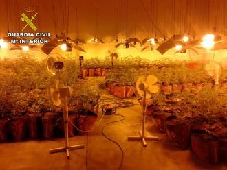 La Guardia Civil detiene a 4 personas por cultivar marihuana en Marchamalo