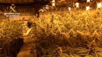 La Guardia Civil de Mora ha detenido a 11 personas por delitos de cultivo o elaboración de estupefacientes y defraudación de fluido