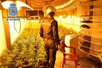 La Policía Nacional interviene 2.881 plantas de marihuana en la provincia de Guadalajara