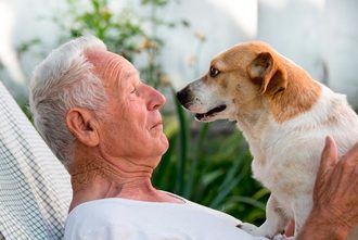Las mascotas y sus beneficios para los mayores