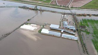 La crecida del arroyo Medrancho anega varias granjas con 1.500 cabezas de ganado afectadas