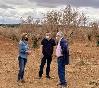 Merino reclama a Page que se deje de `anuncios y postureos malintencionados´ y atienda de una vez las reivindicaciones de los agricultores de CLM afectados por Filomena