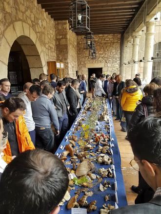 Diversas jornadas y conferencias culminan el intenso otoño de la Sociedad Micológica de Sigüenza