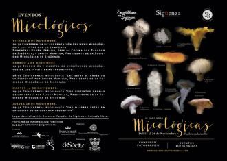 Del 15 al 24 de noviembre, IV Jornadas Micológicas de Sigüenza