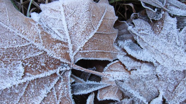 Molina de Aragón, con 8º bajo cero, temperatura mínima más baja en la madrugada de este miércoles por detrás de Reinosa