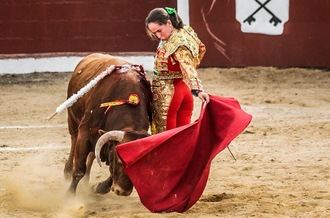 XI Jornadas Taurinas ¡Romancos al Campo! 2023