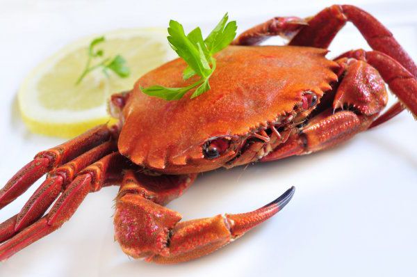 Pescanova retira el lote de nécoras investigado por la Agencia Alimentaria por posible salmonela