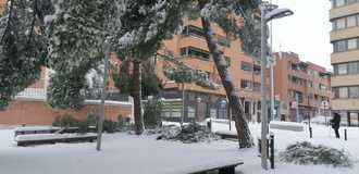 Ante el colapso de la ciudad, el alcalde Guadalajara pide ayuda al Ejército para despejar y hacer transitables calles, aceras y carreteras