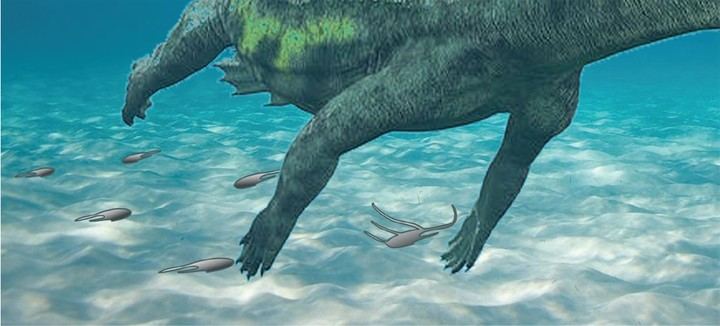 Una investigación de la UAH descubre huellas de notosaurio del Triásico en Guadalajara