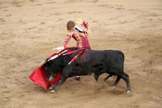 La espada resta el triunfo a los novilleros de &#39;Guadalajara busca torero en Pareja&#39;