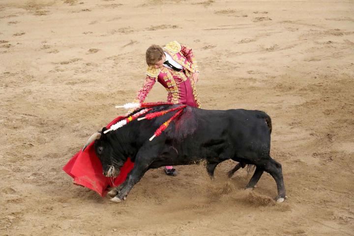 La espada resta el triunfo a los novilleros de 'Guadalajara busca torero en Pareja'