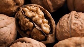 Descubren que el magnesio es clave para mantener una buena memoria, reducir el riesgo de demencia y fortalecer los huesos