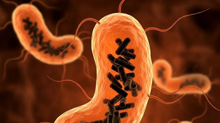 Descubren una NUEVA entidad biológica que habita en el cuerpo humano y se llama 