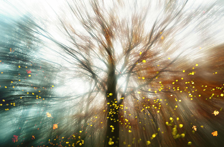 Desactivado el Meteocam en toda la región tras la evolución favorable de las predicciones meteorológicas