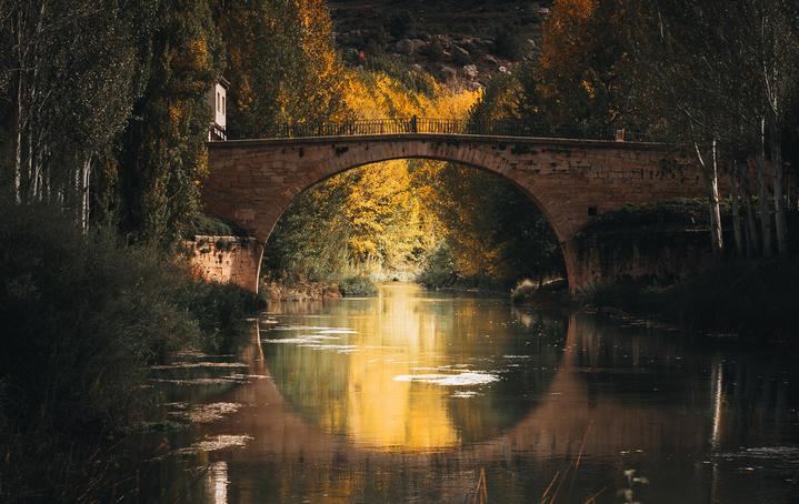 Ojo de Trillo, de Nicolás Sánchez Bueno, ganadora del V Concurso de Fotografía Objetivo: Trillo y comarca