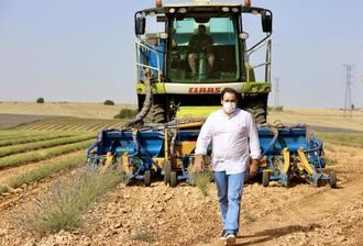 Paco Nuñez visita los campos de lavanda en Almadrones y considera vital que el Gobierno regional de Page ponga en marcha 