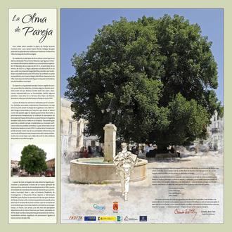 Pareja embellece y completa progresivamente el Parque de la Olma Vieja