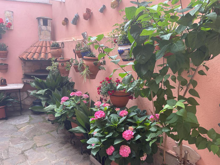 Margarita Pascual gana el IV concurso de embellecimiento de balcones, ventanas y patios de Yunquera de Henares