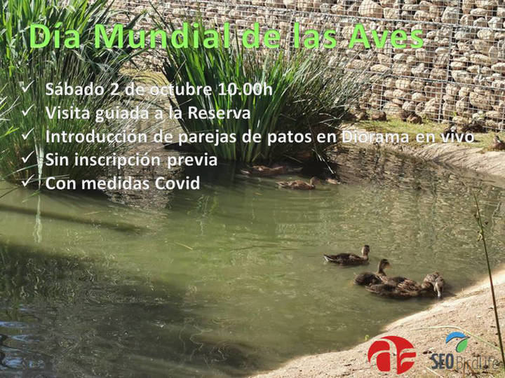El sábado, se introducirán varias parejas de patos en el diorama en vivo de la Reserva Ornitológica de Azuqueca