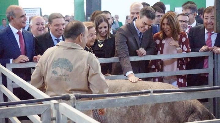 Burla, mofa y befa al confundir Pedro Sánchez el jamón ibérico con... el serrano