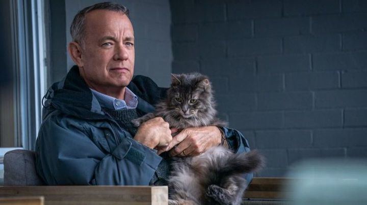 La última peli de Tom Hanks : El peor vecino del mundo