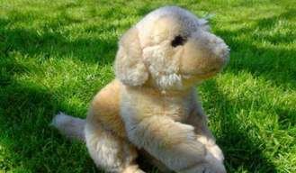 La Policía Local de Guadalajara ha realizado, desde que se decretó el estado de alarma, un total de 573 denuncias y 15 detenciones